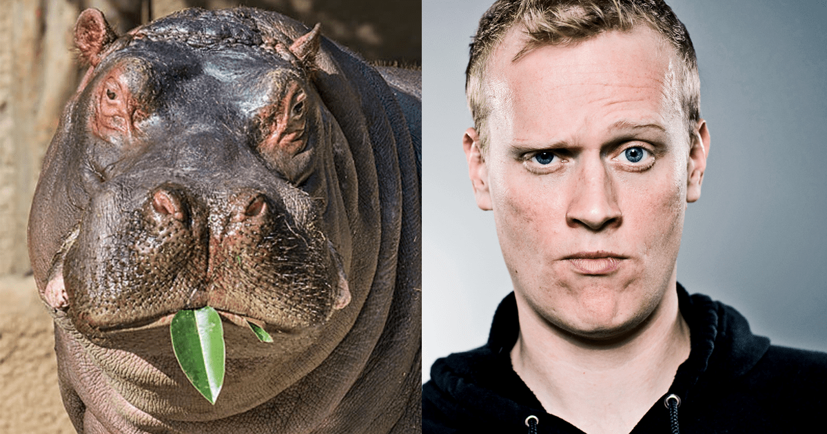 strange but true new thumb