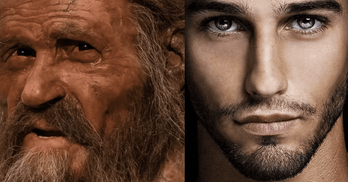 human evolution temp thumb