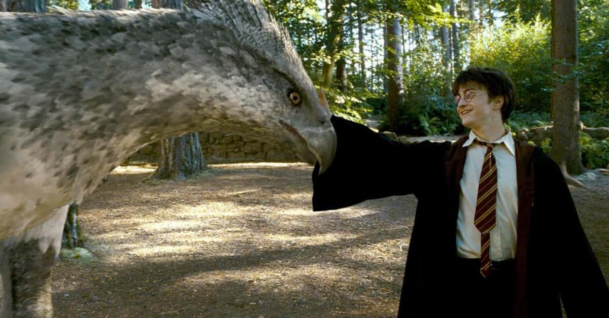 Magical Creatures Facts