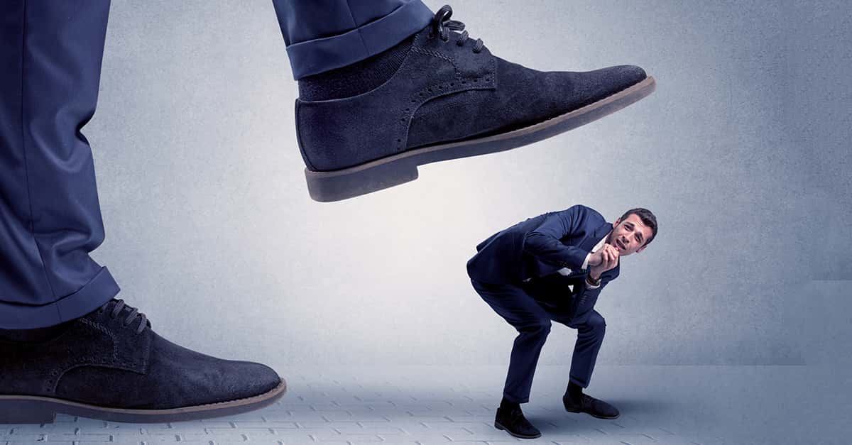 Company Morale Experience