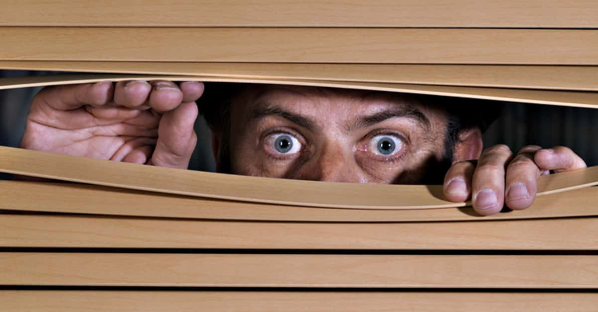 These Neighbors Are Monsters