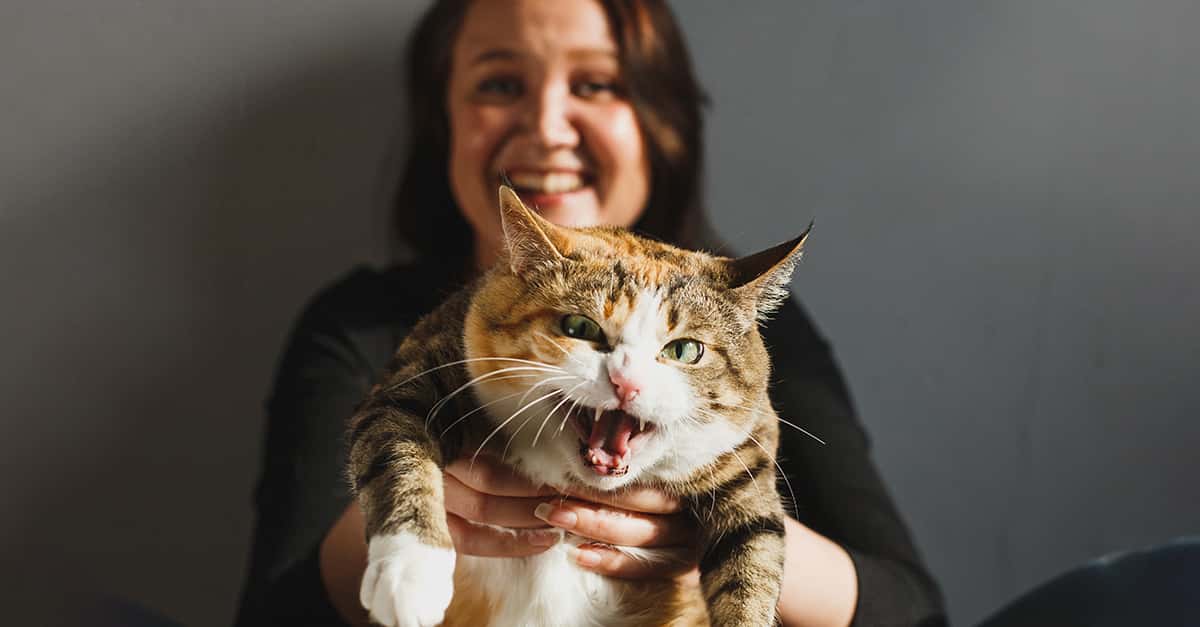 Is My Cat A Psychopath?