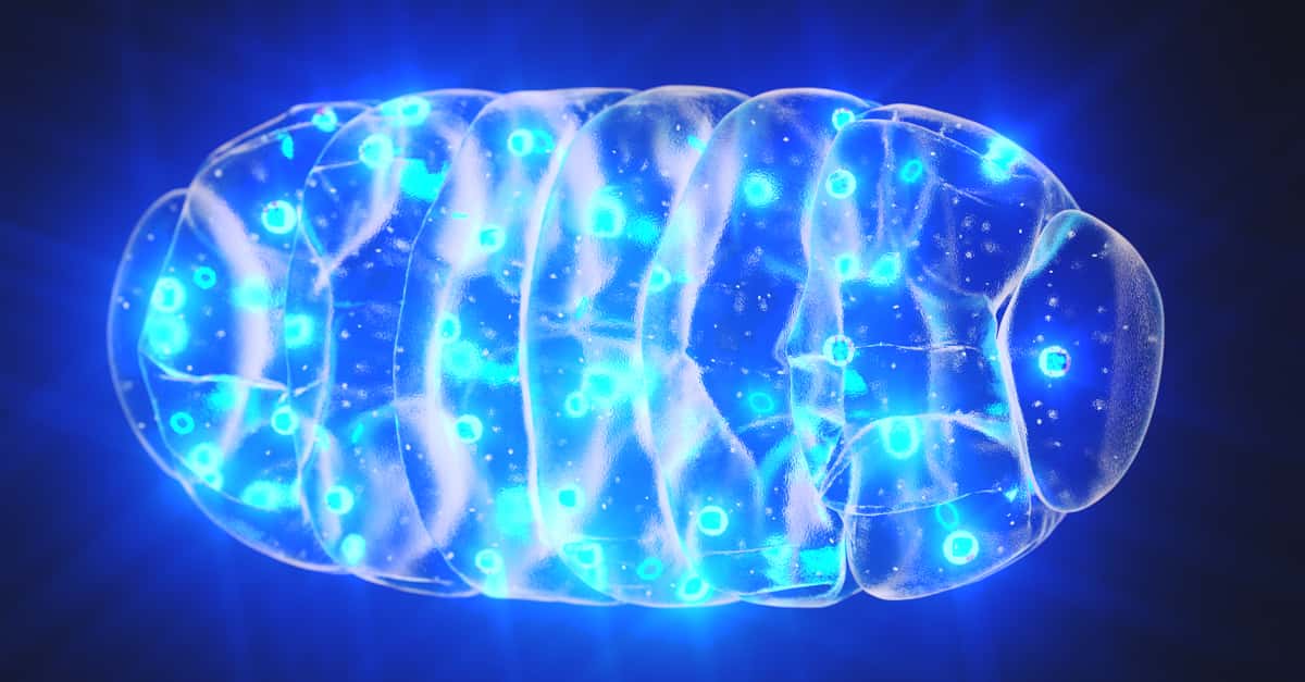 Mitochondria Editorial