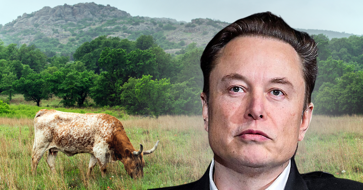 Tesla Inc. Chief Executive Officer Elon Musk speaks with Lt. Gen. Richard Clark